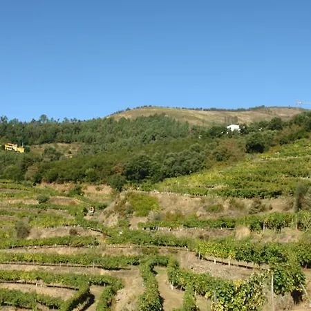 Quinta Do Paraiso * Mesão Frio