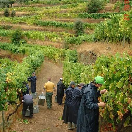 Quinta Do Paraiso *