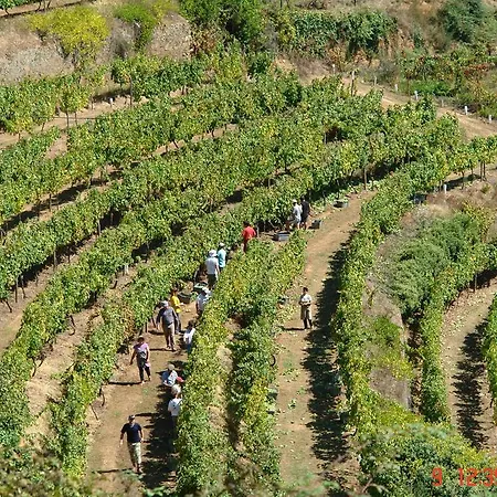 Casa vacanze Quinta Do Paraiso *