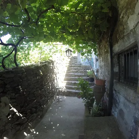 Quinta Do Paraiso * Mesão Frio